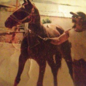 Meet your Posher, Steve